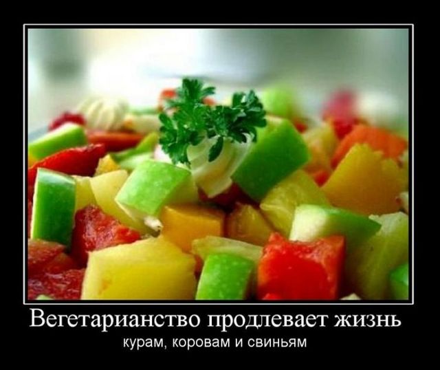 4743317_demotivatory_47 (640x538, 49Kb)