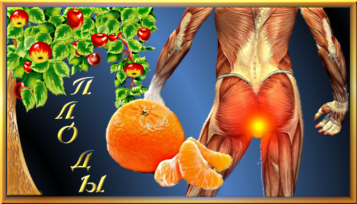 4315980_HBBVY6T (700x400, 501Kb)