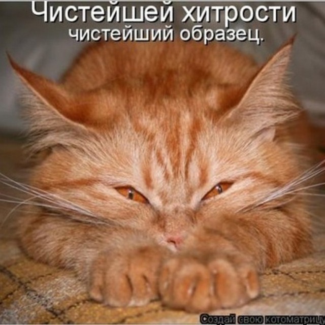 4743317_i25337 (640x640, 84Kb)