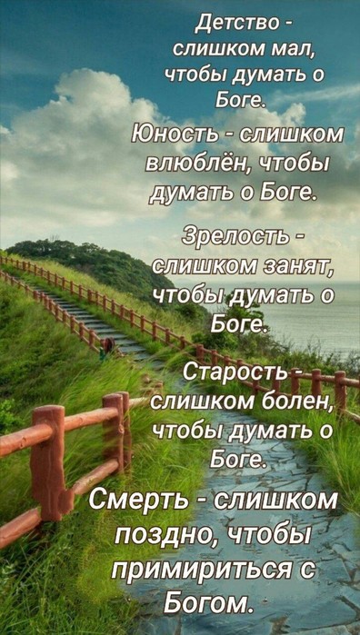 IMG-20250627-WA0011 (396x700, 103Kb)