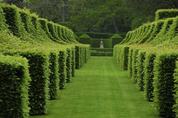 topiary-gardens-1585869569 (900x665, 45Kb)