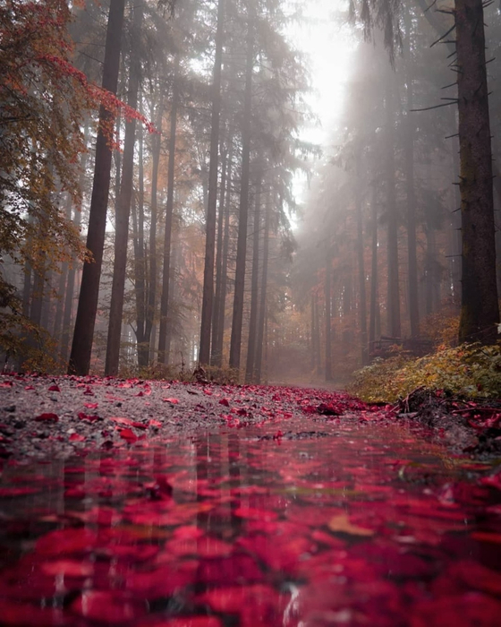 2 (560x700, 394Kb)