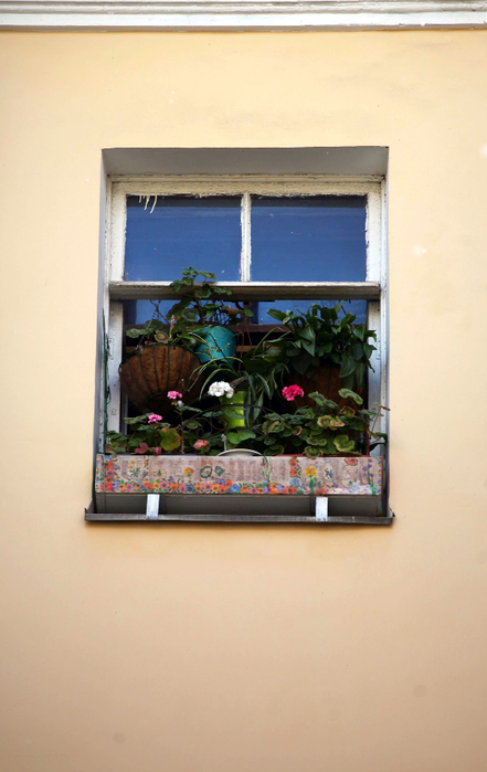 IMG_7982 (441x700, 284Kb)