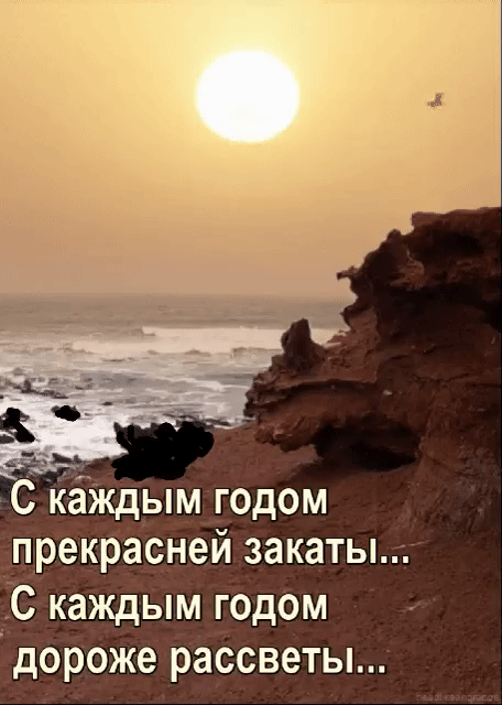 IMG_20250628_065140 (456x640, 521Kb)