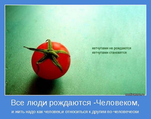 4743317_motivator62343 (640x502, 39Kb)