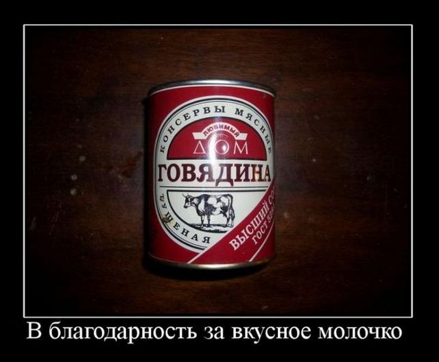 4743317_demotivatory_44 (640x528, 44Kb)