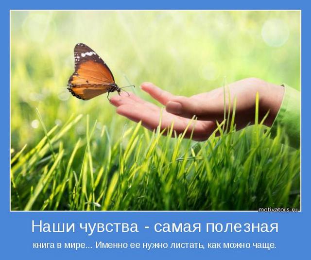 4743317_motivator70524 (640x535, 47Kb)