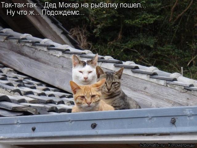 4743317_n0 (640x480, 52Kb)