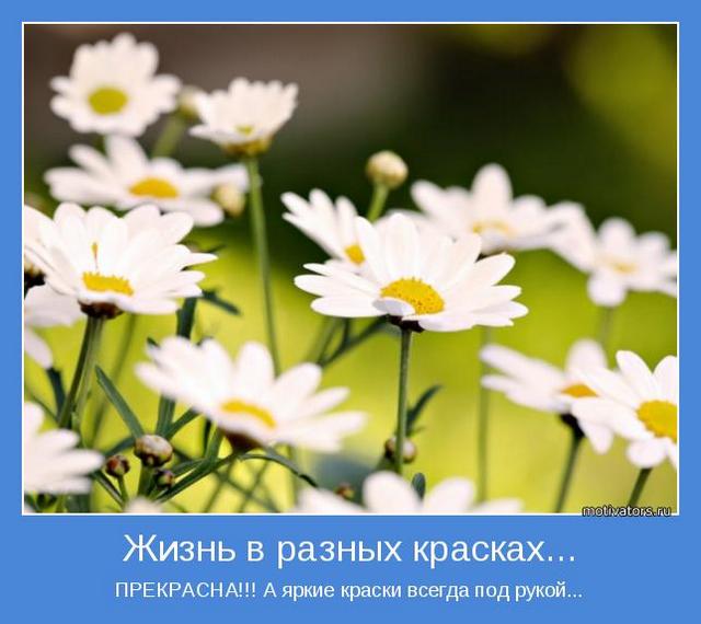 4743317_motivator46190 (640x570, 42Kb)