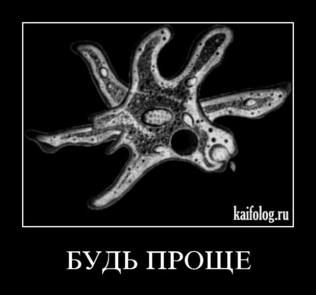 4743317_1255414948_160 (640x596, 32Kb)