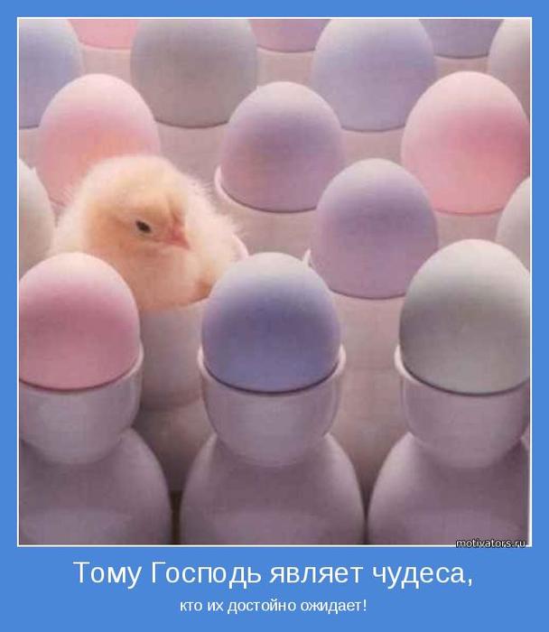 https://img0.liveinternet.ru/images/attach/d/4/164/50/164050784_4743317_motivator60835.jpg