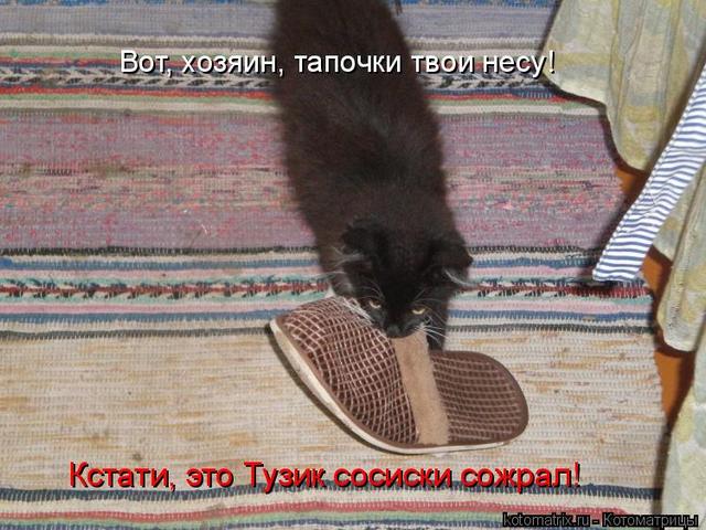 4743317_hC (640x480, 63Kb)