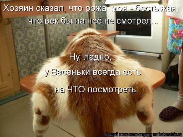 4743317_i17551 (640x479, 48Kb)