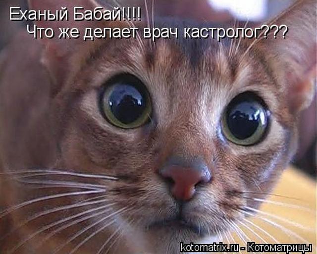 4743317_Y (640x512, 51Kb)