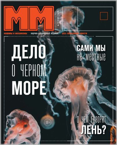 07mm25_1 (405x500, 42Kb)