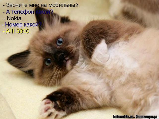 4743317_A9 (640x480, 38Kb)