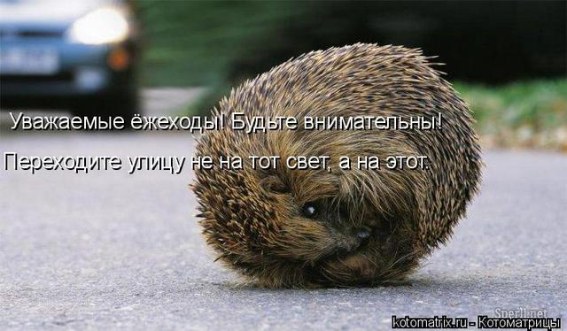 4743317_u (640x374, 48Kb)