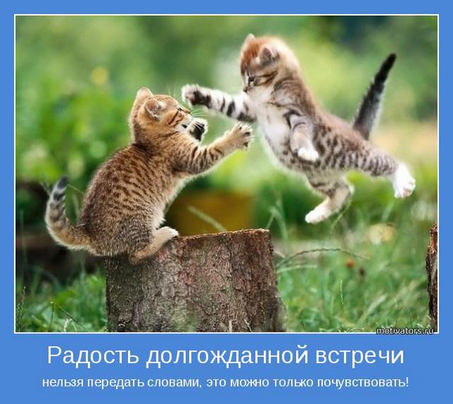 4743317_motivator63841 (640x570, 55Kb)