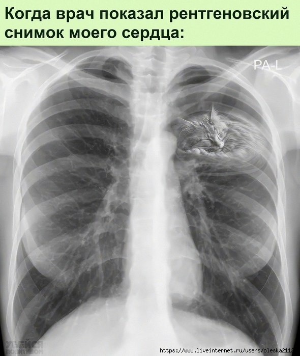 2999557644 (590x700, 170Kb)