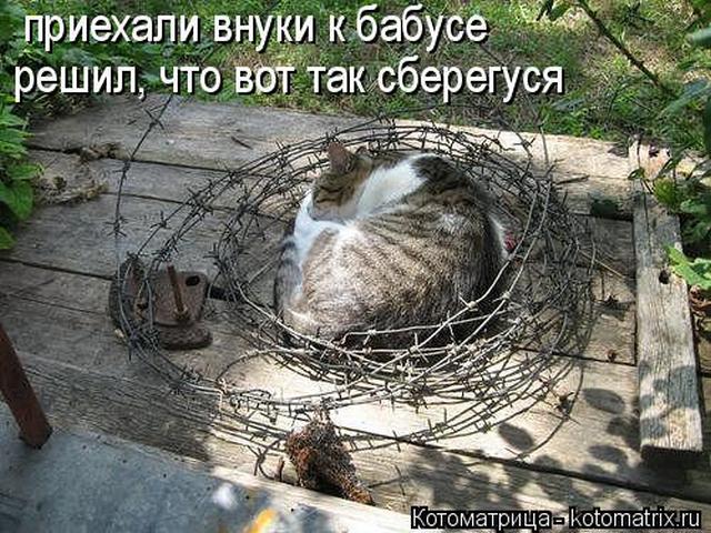 4743317_i23017 (640x480, 89Kb)