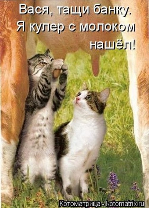 4743317_i21795 (502x700, 95Kb)