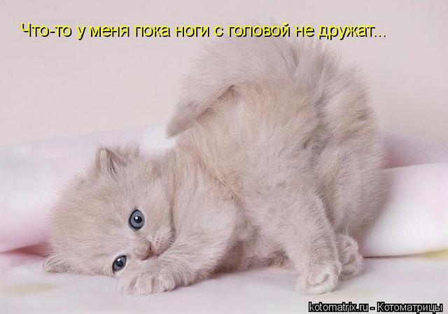 4743317_DZ (640x448, 30Kb)