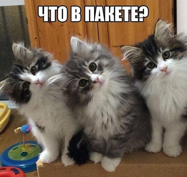 4743317_i25384 (640x605, 89Kb)