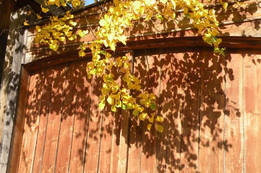 4397599_0071 (534x355, 59Kb)