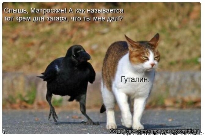  (674x450, 137Kb)