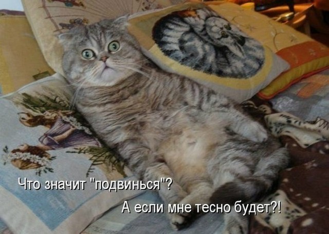 4743317_i25484 (640x455, 74Kb)