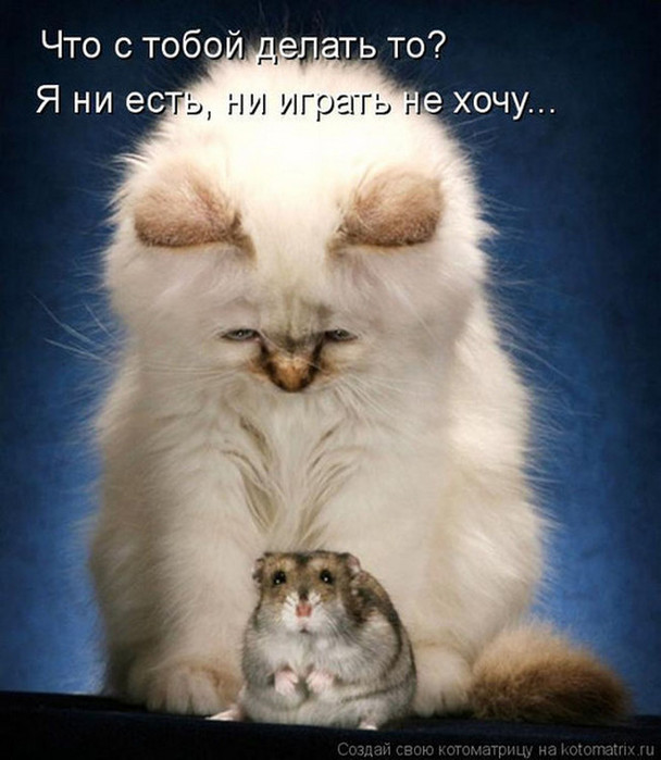 4743317_i25488 (608x700, 92Kb)