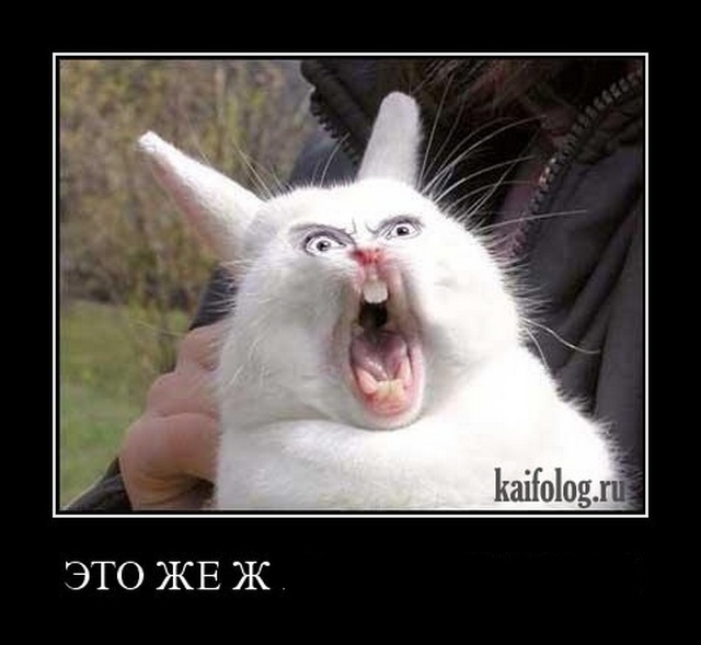 4743317_1255414974_154 (640x589, 68Kb)