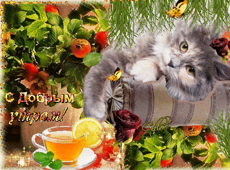 4743317_i31935 (472x350, 393Kb)