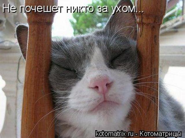 4743317_jU (640x479, 46Kb)