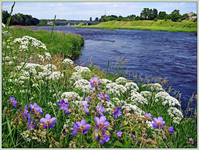 5152557_h29774 (700x528, 185Kb)
