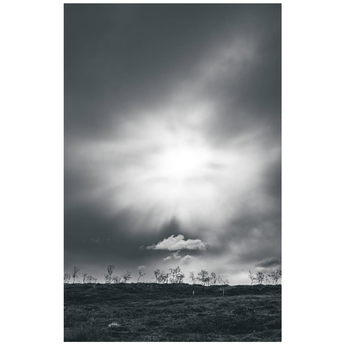 5 (700x700, 132Kb)