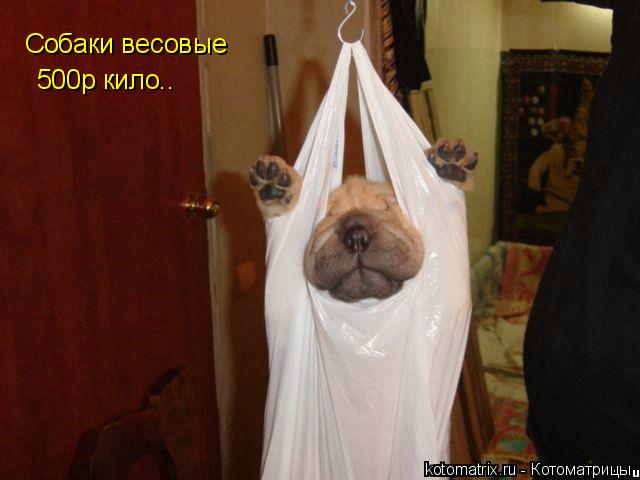 4743317_YY (640x480, 33Kb)