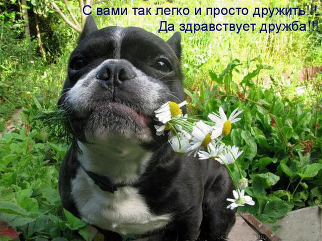 4743317_i6549 (640x479, 136Kb)