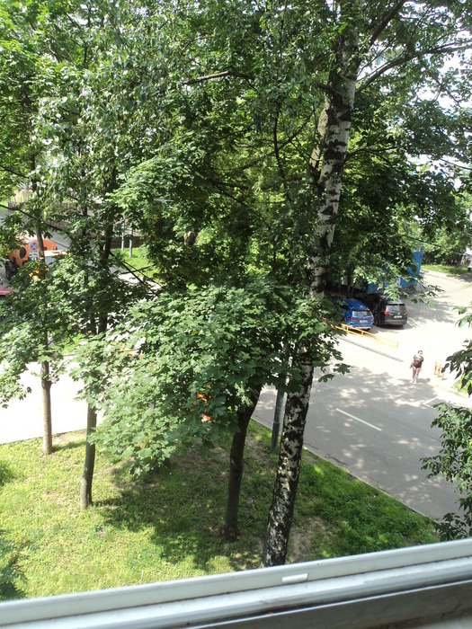 DSC02938 (525x700, 217Kb)