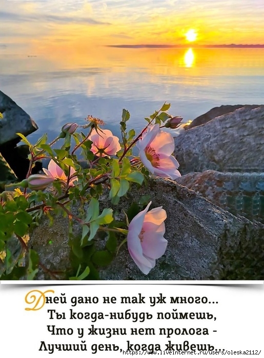 EwZc_VLBDQwoUYriRKS6WoIiiZdw65Iqc05-XEBPMYEncEdWEVOBJMSKbZme2SjcbQa84Aa1Iush2SR5aswcAQ1Q (515x700, 243Kb)