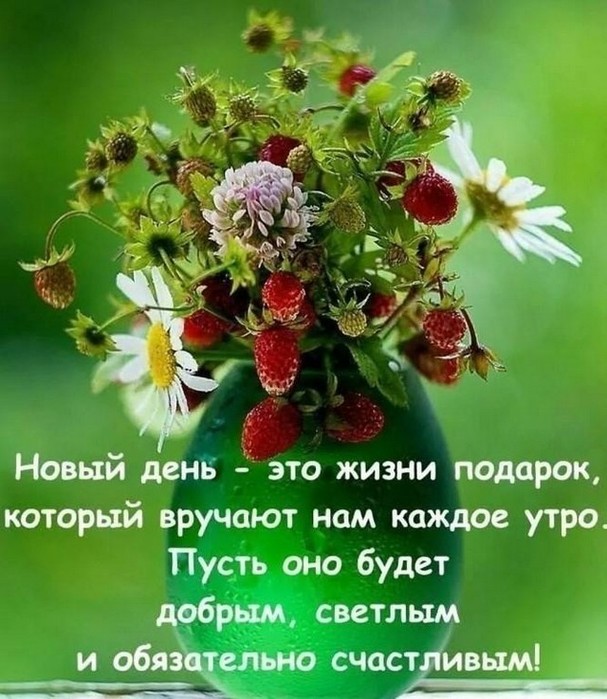 4743317_image20190603 (607x700, 108Kb)