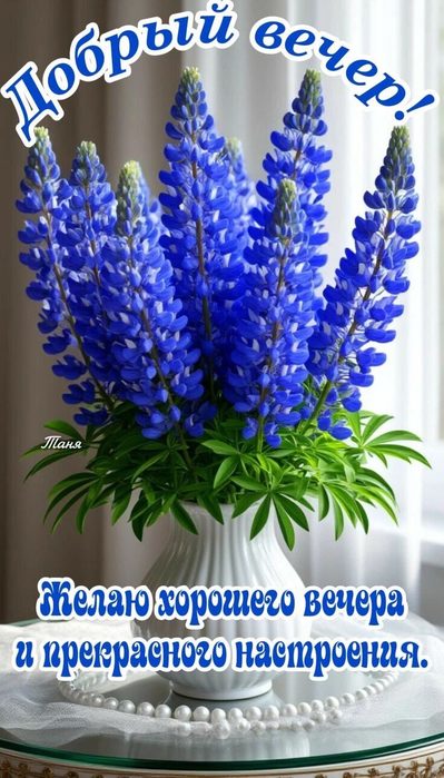 IMG_20250710_161944 (399x700, 76Kb)
