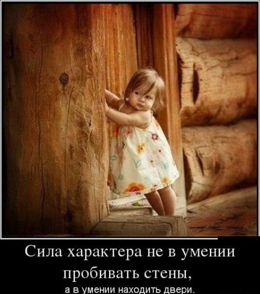 f515b5a49a1ad764f9dde766a3419b2c (534x603, 50Kb)