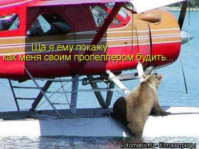 4743317_tS (640x479, 57Kb)