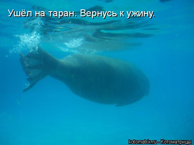 4743317_1e (640x480, 23Kb)