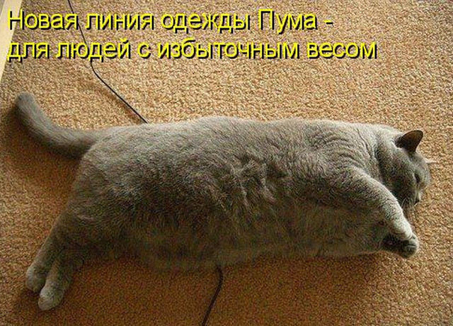 4743317_i25569 (640x460, 156Kb)