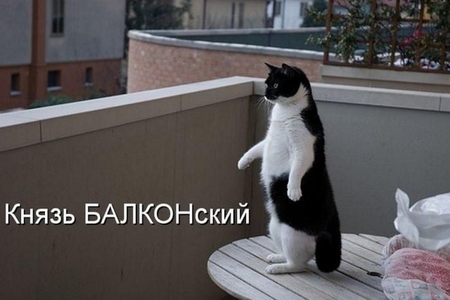 4743317_i8478 (640x427, 54Kb)