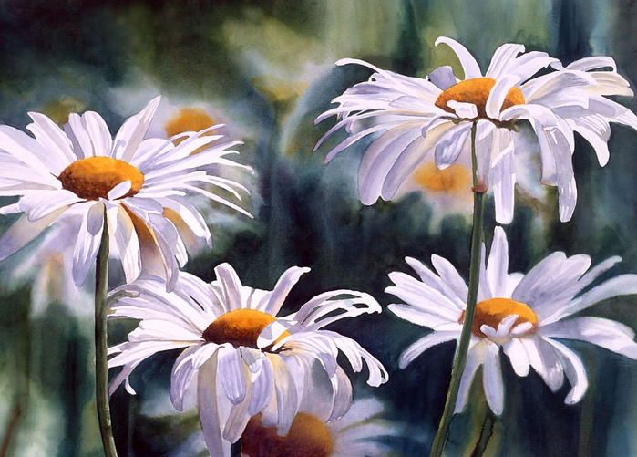 Sharon Freeman (700x501, 383Kb)
