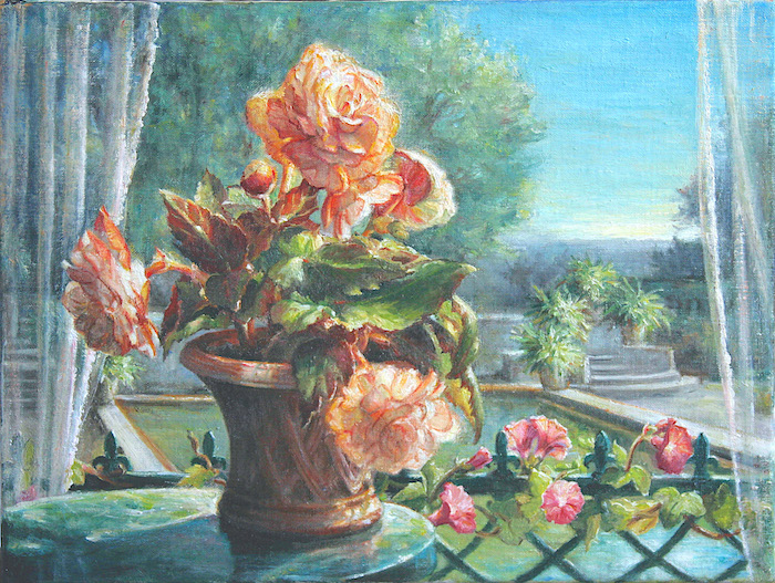 Bégonias-côté-jardin (700x527, 421Kb)