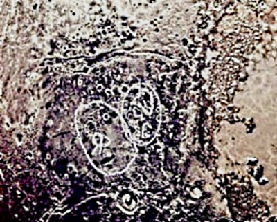 7290692_16_06_25g__Plyton_1_1 (400x321, 81Kb)